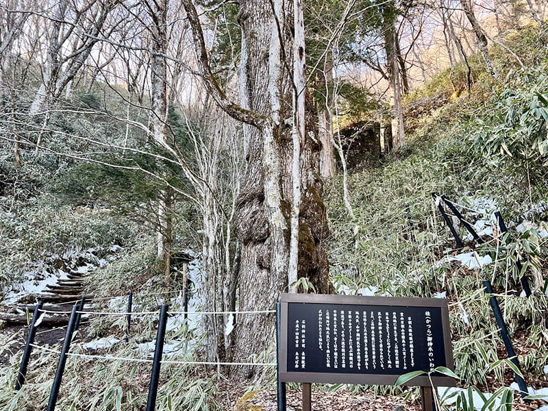 石割神社8