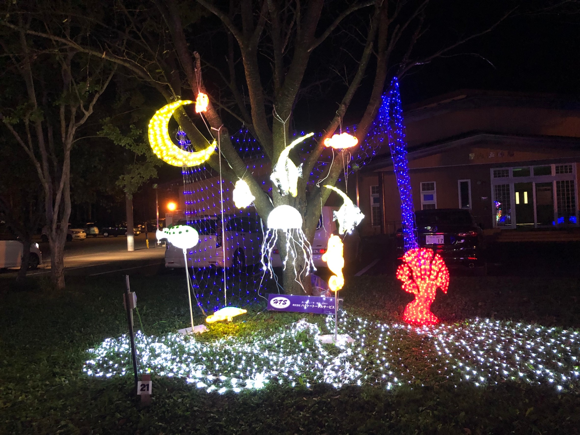 Ilumination